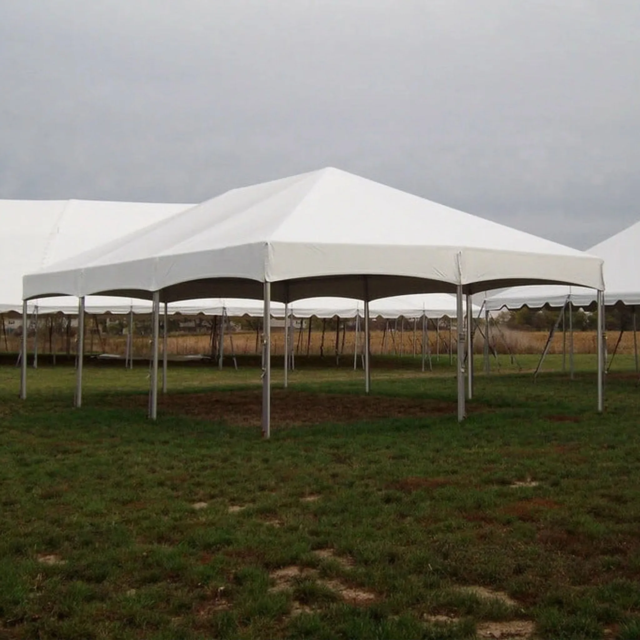 20x30 Master Series Frame Tent