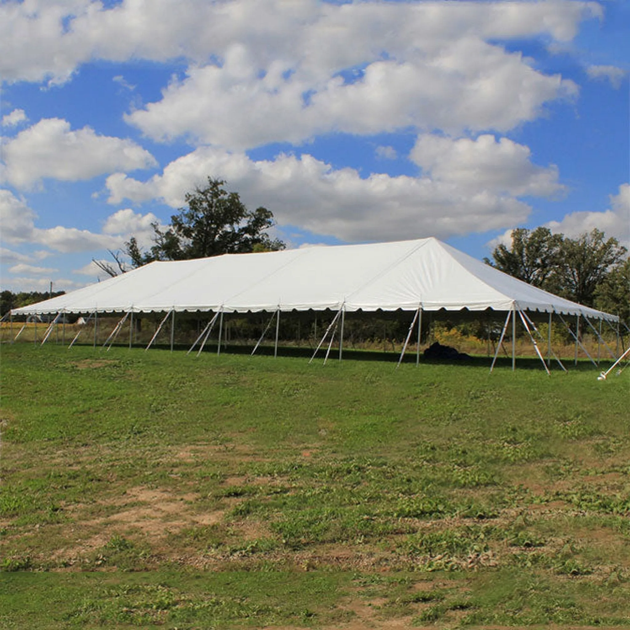 40x100 Classic Series Pole Tent