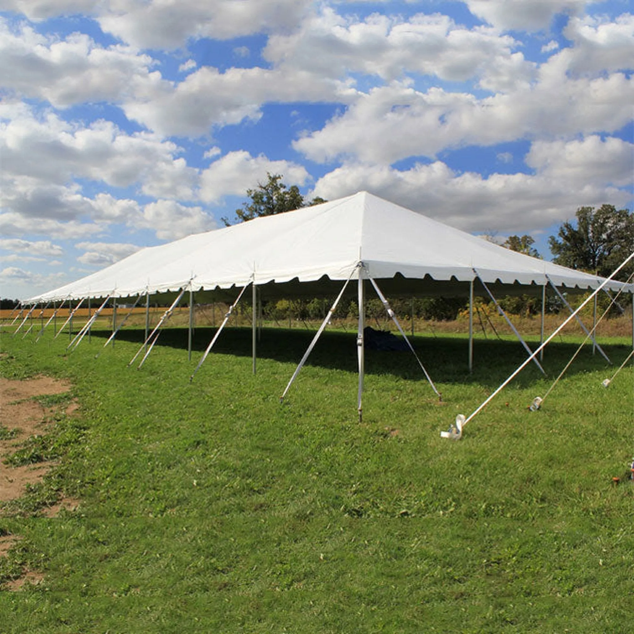 40x100 Classic Series Pole Tent