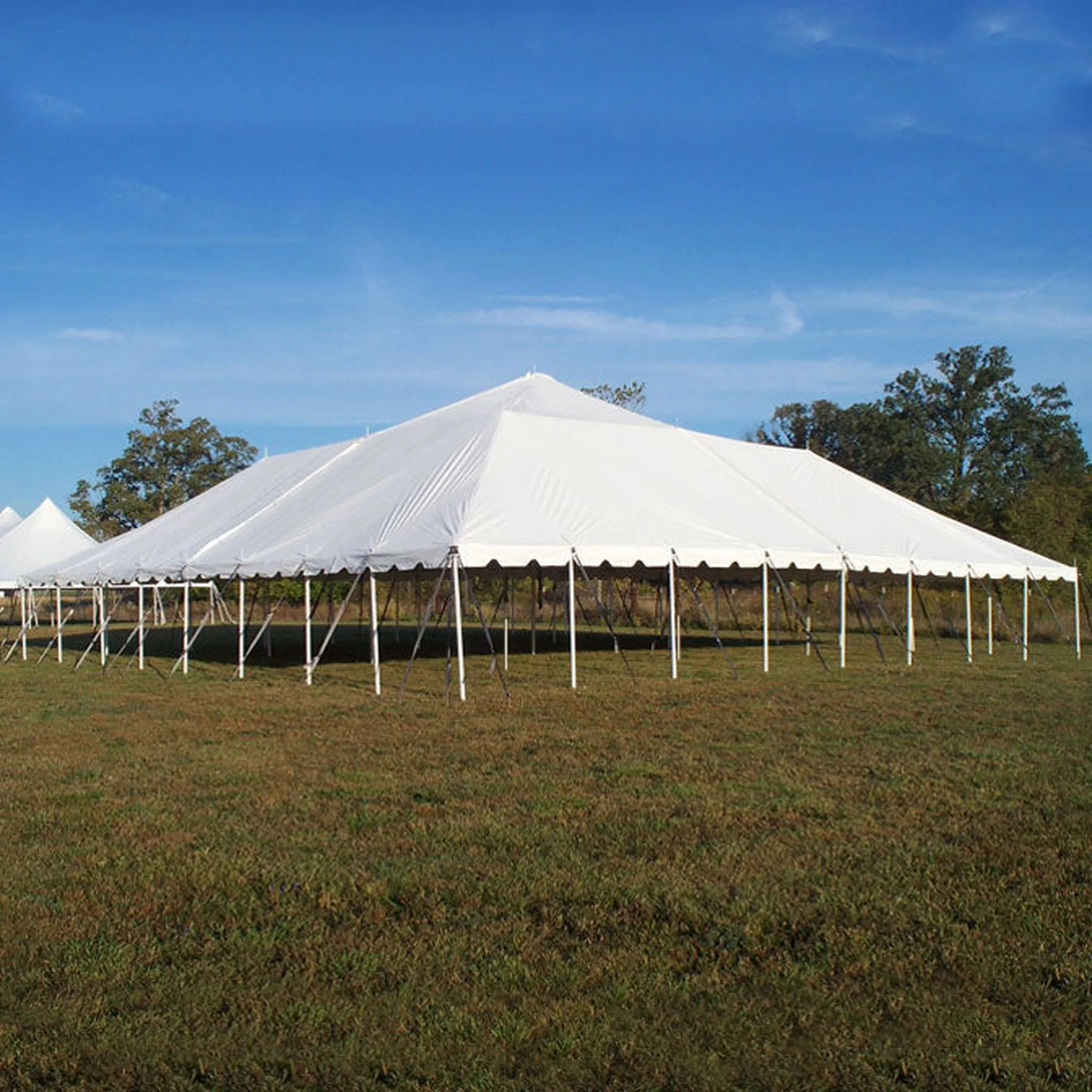 60x60 Classic Series Pole Tent