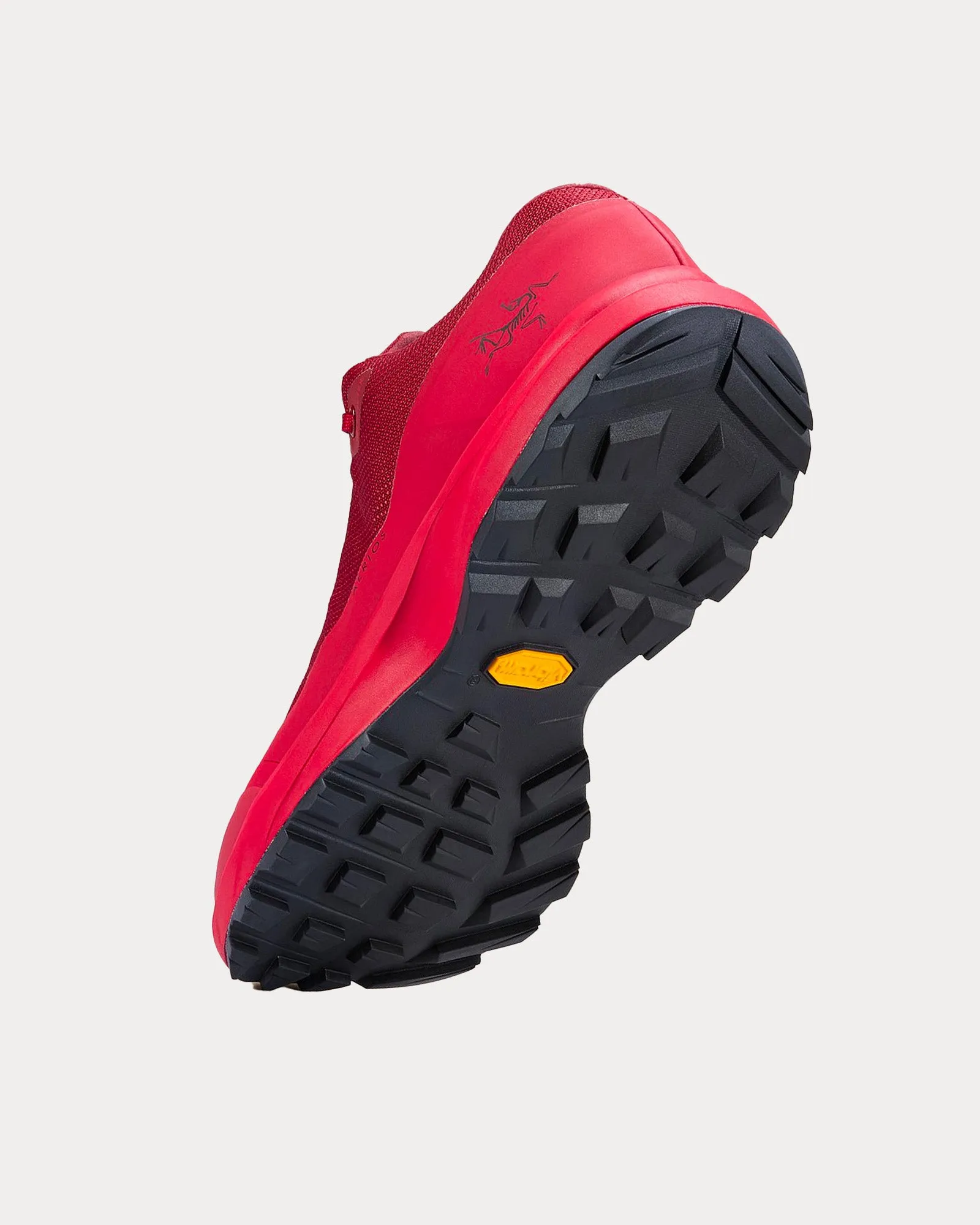 Aerios GTX Bordeaux / Heritage Running Shoes