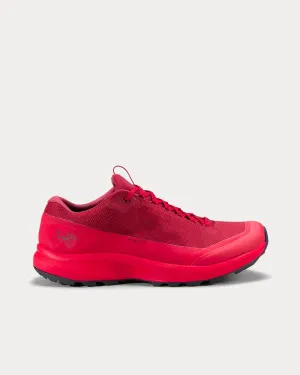Aerios GTX Bordeaux / Heritage Running Shoes